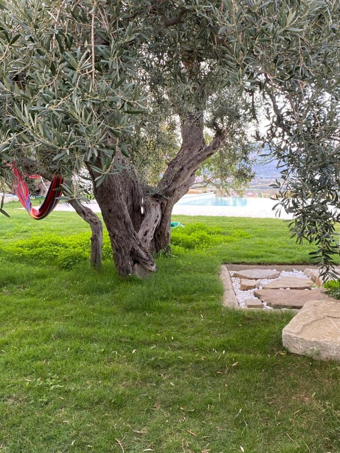 Casa Delle Sirene Nto Principe Hotel Falcone Bagian luar foto